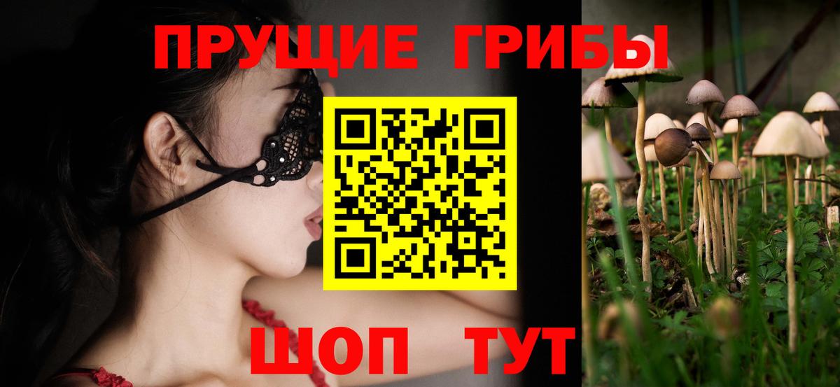 Псилоцибиновые грибы MAGIC MUSHROOMS  Вход с VPN  Павловский Посад 