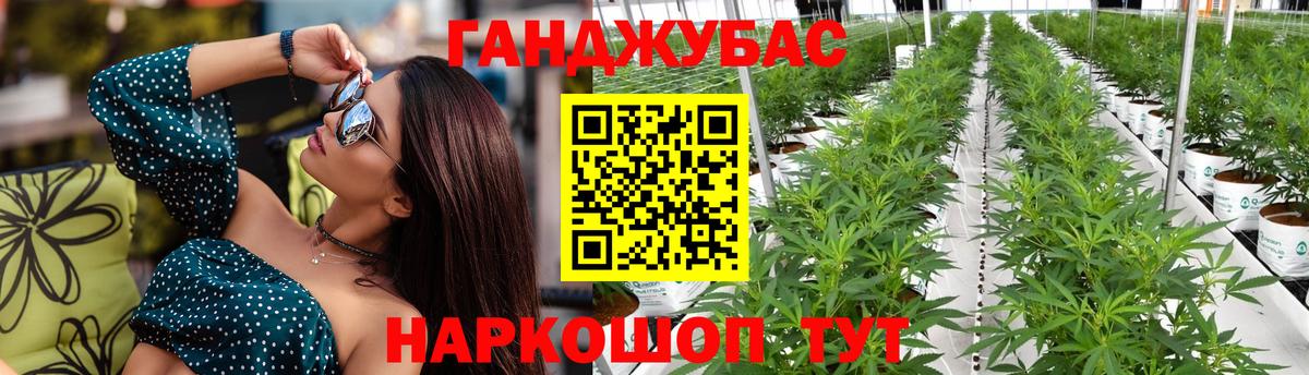 Бошки Шишки тримм  Бошки Шишки Bruce Banner  Вход с VPN  Конопля White Widow  Павловский Посад 